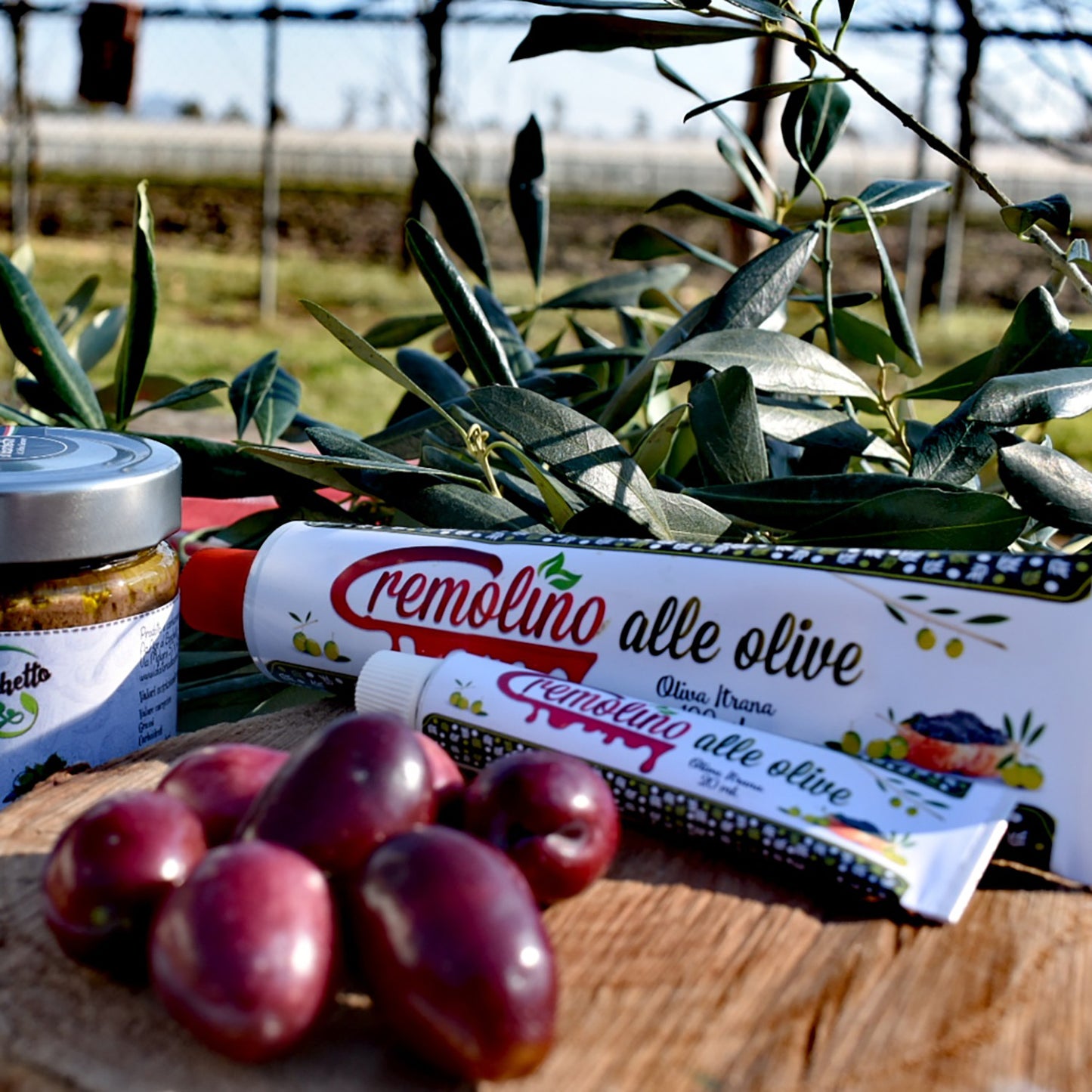 Cremolino alle Olive